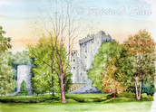 Blarney Castle II